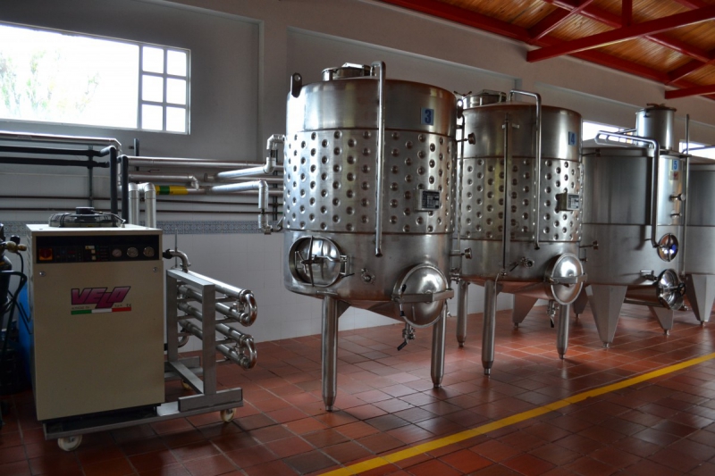 cave-ST AUBAN-min_wine_production_cantine_winery_drink_alcohol_vine_beverage-902036